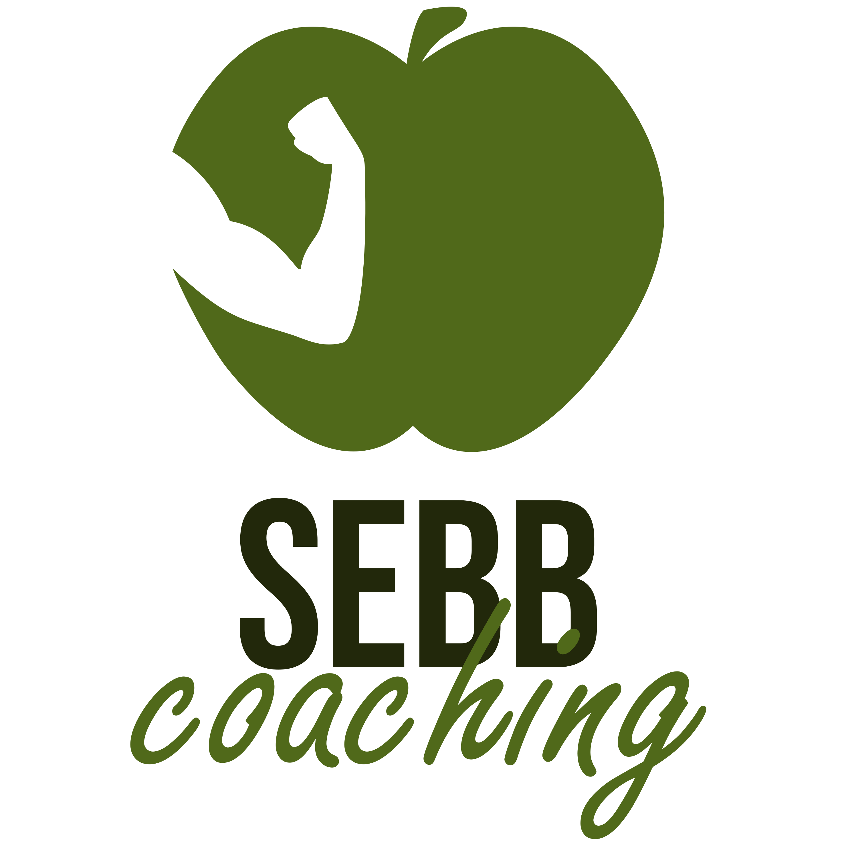 Sebbcoaching-Sébastien Barthoulot, nutritionniste et coach sportif